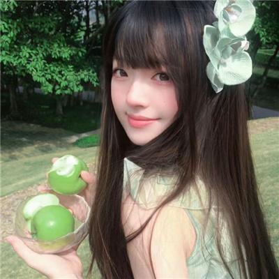 海宫仙蕊 封面
